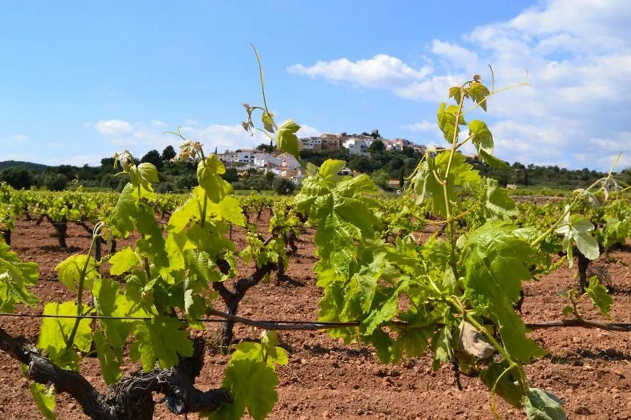 Els Cups Casa Rural San Vicente de Calders Spain